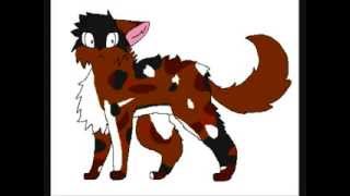 Warrior Cats Wiki Mapleshade Meme by Bluekyokitty [upl. by Lori]