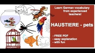 Learn German vocabulary Tiere Haustiere  pets [upl. by Alford]