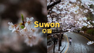 Suwon South Korea  Cinematic Travel Guide  Part Four [upl. by Lenoyl]