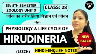 Physiology amp Life Cycle of HIRUDINERIA LEECH Annelida to Arthopoda  BSc 5th Semester ZOOLOGY [upl. by Yrad]