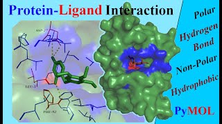 Analysing ProteinLigand Interactions  Tutorial [upl. by Godiva]