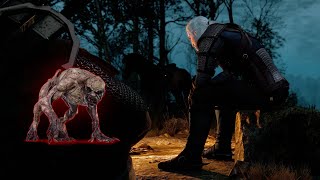 Starting a death march after a while  Witcher 3 [upl. by Deborah]