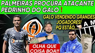 ✍️PALMEIRAS PROCURA SHAKHTAR PARA FECHAR COM PEDRINHO 🚨 BOA NOTÍCIA❗️GALO CHEIO DE DÍVIDAS [upl. by Farrand114]