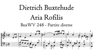 Buxtehude  Aria Rofilis BuxWV 248  Schnitger organ Noordbroek Hauptwerk [upl. by Aehtela]