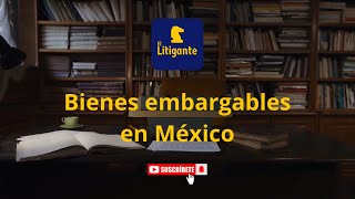 Embargos Bienes embargables en México [upl. by Erihppas]