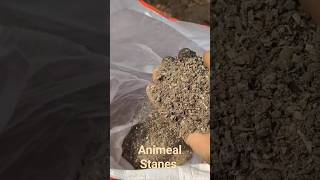 Adding Bio fertilizer from Stanes Animeal [upl. by Cherice]