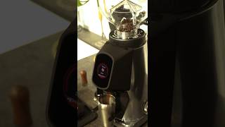 Fiorenzato AllGround Sense NEU in Edelstahl espresso coffee [upl. by Laoj]