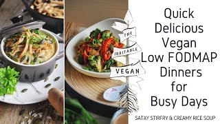 Quick Delicious Dinners for Busy Days  Vegan Low FODMAP Dinner Recipes [upl. by Ivz]