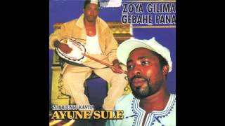 Ayune Sule Ghana Kologo music [upl. by Asserac]