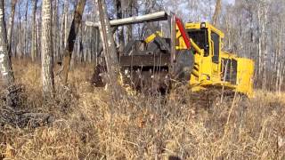 Tigercat 480 with WWR 9000 Mulching Head CarbonBite Mulching Systems [upl. by Ellenrahs145]