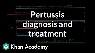 Pertussis diagnosis and treatment  Respiratory system diseases  NCLEXRN  Khan Academy [upl. by Maillil]