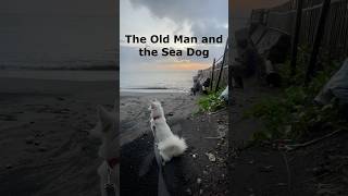 The Old Man and the Sea Dog [upl. by Alaj]