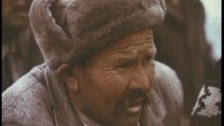 ARALKUM 1987  UZBEKFILM [upl. by Madelin]