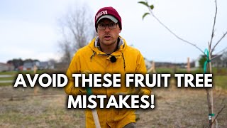 The 7 Most COMMON Costly Mistakes Beginners Make When Growing Fruit Trees [upl. by Ahsim]