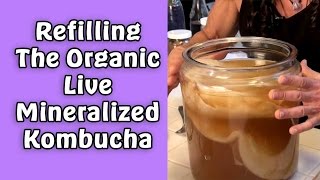 Refilling The Organic Live Mineralized Kombucha I Dr Robert Cassar [upl. by Retxab]