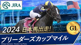 2024年 ブリーダーズカップマイル（G1）  モアザンルックス  JRA公式 [upl. by Gardener]