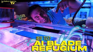 Reef Test AI Blade Refugium  Gallery Aquatica TV [upl. by Simah]