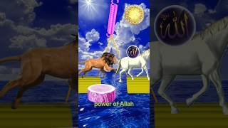 Allah hi Allah kiya karo naat Sharif islamic vfx video allah islamicmusic naatsharif shorts [upl. by Cato]