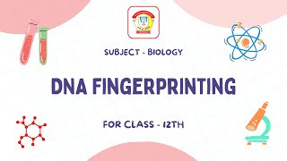 DNA Fingerprinting  Class 12 Biology  The Doon Grammar School [upl. by Chaker]