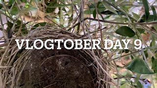 Vlogtober  Day Nine An empty nest [upl. by Lateh]