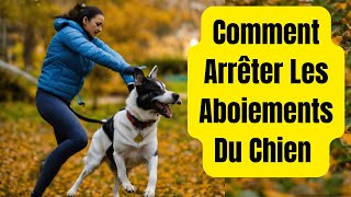 Guide Complet  Comment Faire Taire un Chien qui Aboie sans Cesse [upl. by Nosyk834]