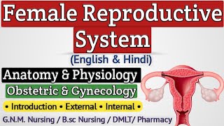 Female Reproductive System Lecture In Hindi  Reproductive System Anatomy And Physiology For Nursing [upl. by Annasoh215]