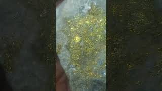 Gold with pyrite on quartz [upl. by Ettena]