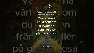 Hadith på svenska hadithpåsvenska [upl. by Jorin]