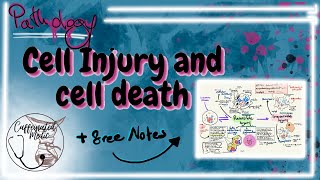 CELL INJURY pathology  reversible injury Hydropic change fatty change amp irreversible injury [upl. by Maxima294]