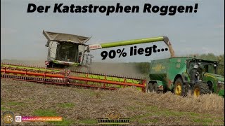 90 liegt Der Katastrophen Roggen 2 Claas Mähdrescher mit 1230m Schneidwerke kämpfen sich durch [upl. by Richardson]