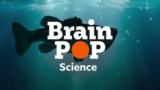 Meet BrainPOP Science [upl. by Hakceber]