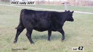 Lot 42 FHCC Lady 3207 [upl. by Ayamat]