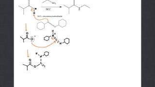 mechanism of amide formation with DCC [upl. by Anaylil]