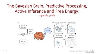 The Free Energy Principle and predictive processing [upl. by Anairad]