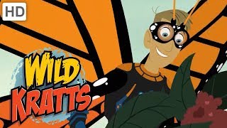 Wild Kratts  Spread Your Little Wings 🦋🦇  Kids Videos [upl. by Nivlen]