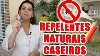 REPELENTES de INSETOS Naturais Caseiros  100 EFICAZ [upl. by Rebecca]