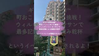 宝塚って歌劇団以外に何があるの？ギネス記録に挑戦編 宝塚市 宝塚歌劇団 末広公園 ウィルキルソン shorts [upl. by Thanos]