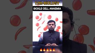 Sickle cell Anaemia biology class12 shorts viralshorts cbse exam motivation [upl. by Dianuj]