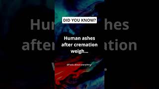 Human ashes after cremation weigh shorts facts [upl. by Rossie951]