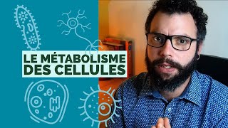 Le Métabolisme des cellules  Fiche Bilan Seconde SVT [upl. by Einaj]