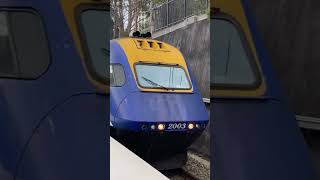 Grafton XPT passing Epping sydneytrains train railway nswtrainlink shorts [upl. by Fabian202]