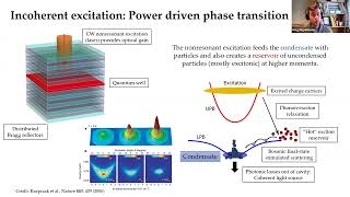 Programmable networks of excitonpolariton condensates [upl. by Ynnattirb]