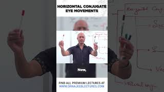 Horizontal Conjugate Eye Movements drnajeeb drnajeeblectures shortvideo youtubeshorts [upl. by Tsew78]