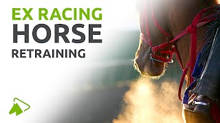 Ex Racing Horse Retraining  Step by Step Guide  wehorse [upl. by Harts]