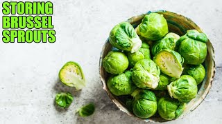 How to Store Brussel Sprouts to Keep Them Fresh [upl. by Leboff552]