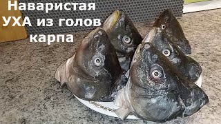 ТАКОЙ ВКУСНОЙ УХИ ВЫ ЕЩЕ 100 НЕ ПРОБОВАЛИ 🐟🐟🐟 [upl. by Sillsby]