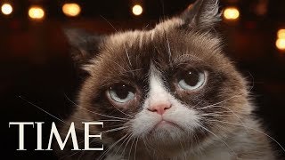 Grumpy Cat Whose Frown Made The Internet Smile Dies After Infection  TIME [upl. by Rubio]