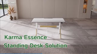 Ultimate Standing Desk Solution JIECANG Karma Essence [upl. by Bilac433]