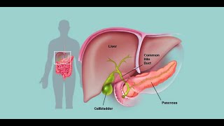 Stimulate Gallbladder Health 1643 Hz Theta Isochronic Tone  Maintain Health [upl. by Nodnorb939]