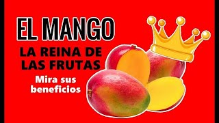 El MANGO LA REINA DE LAS FRUTAS Y SUS BENEFICIOS [upl. by Amalberga272]